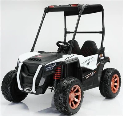 12V STOR UTV-TUR PÅ BIL